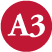 A3